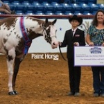 YthHalterScholarship